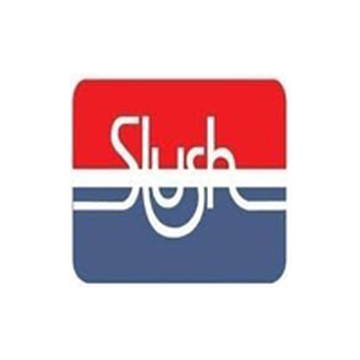 Slush partner logo