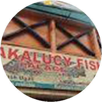Wakalucy partner logo